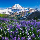 James Loh - @loh_james - Twitter