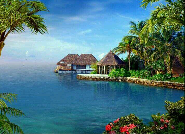 raday991's profile picture. 