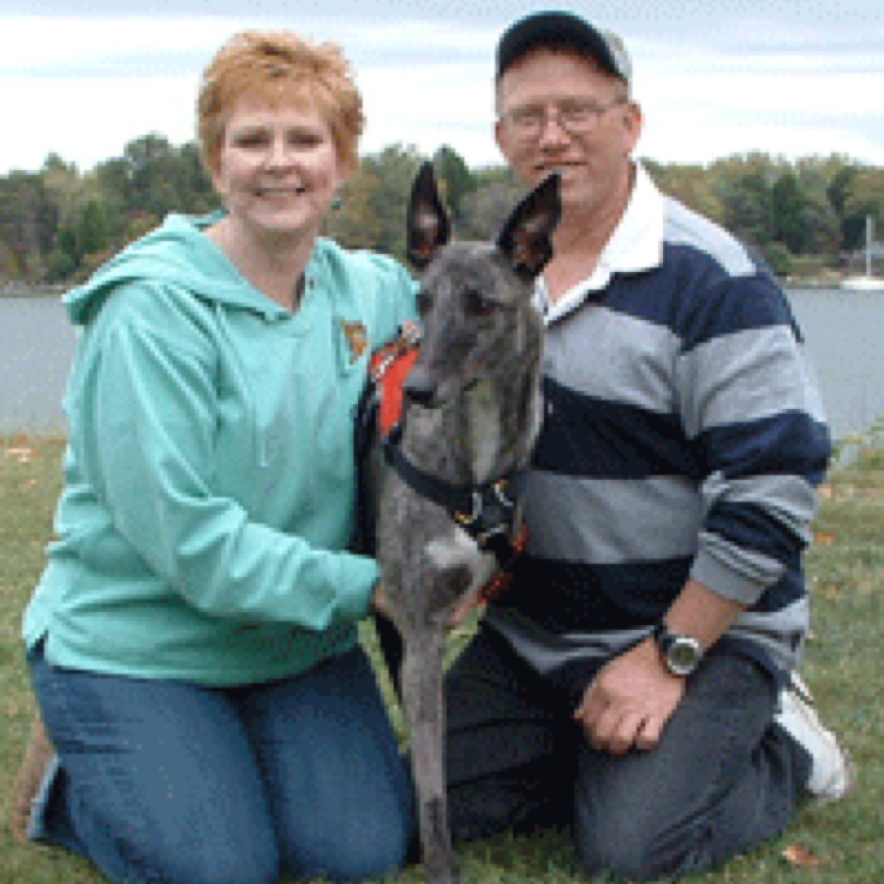 Happily married for 35 yrs to my darling Ted. Momma to Matthew. Owned by Lava the tripod greyhound and a little bit o' crazy Lola okay, a lota crazy greyhound!