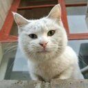 Chieh Chung Yueh - @ccyueh - Twitter