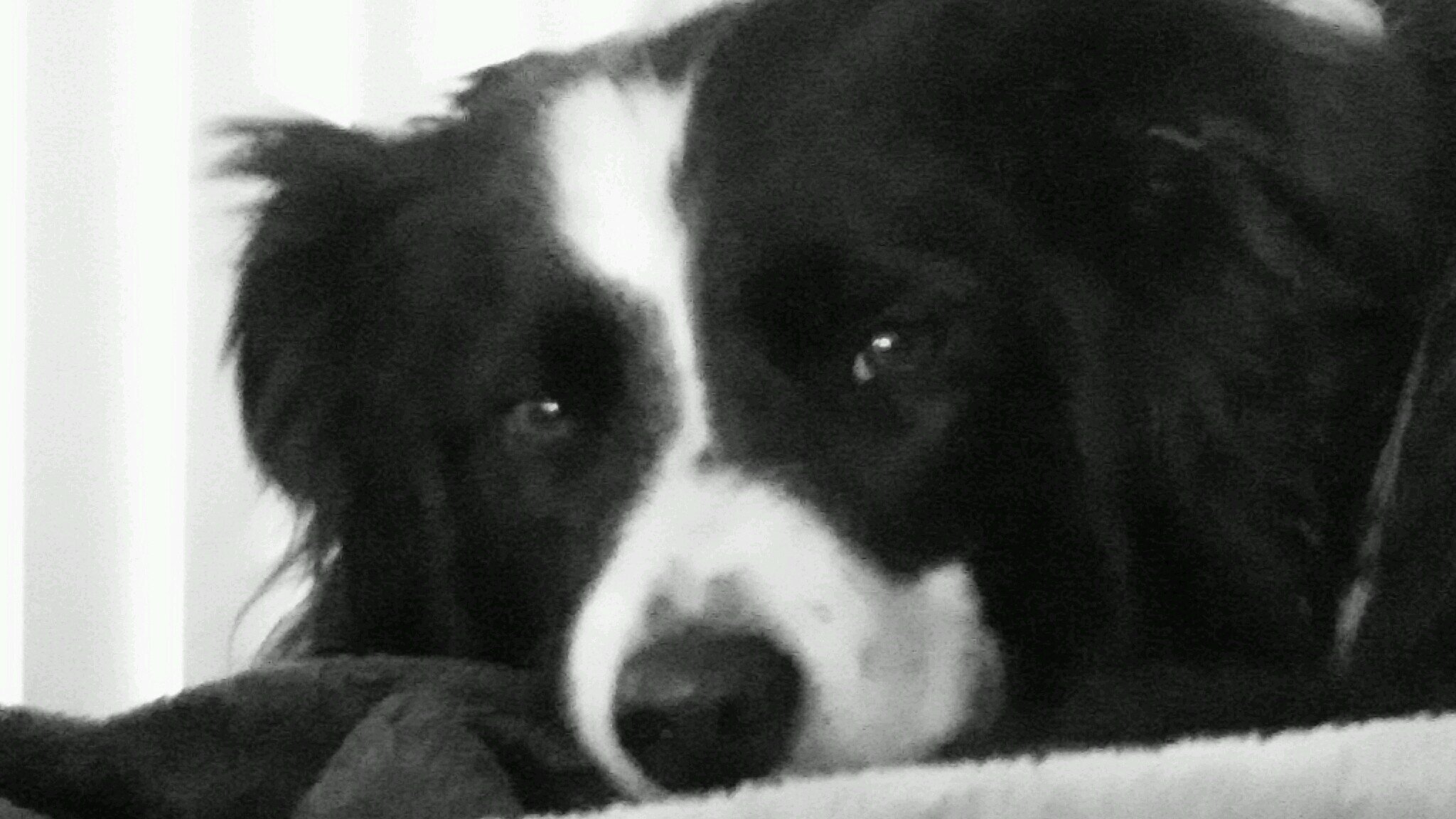 rAzYoOL's profile picture. 