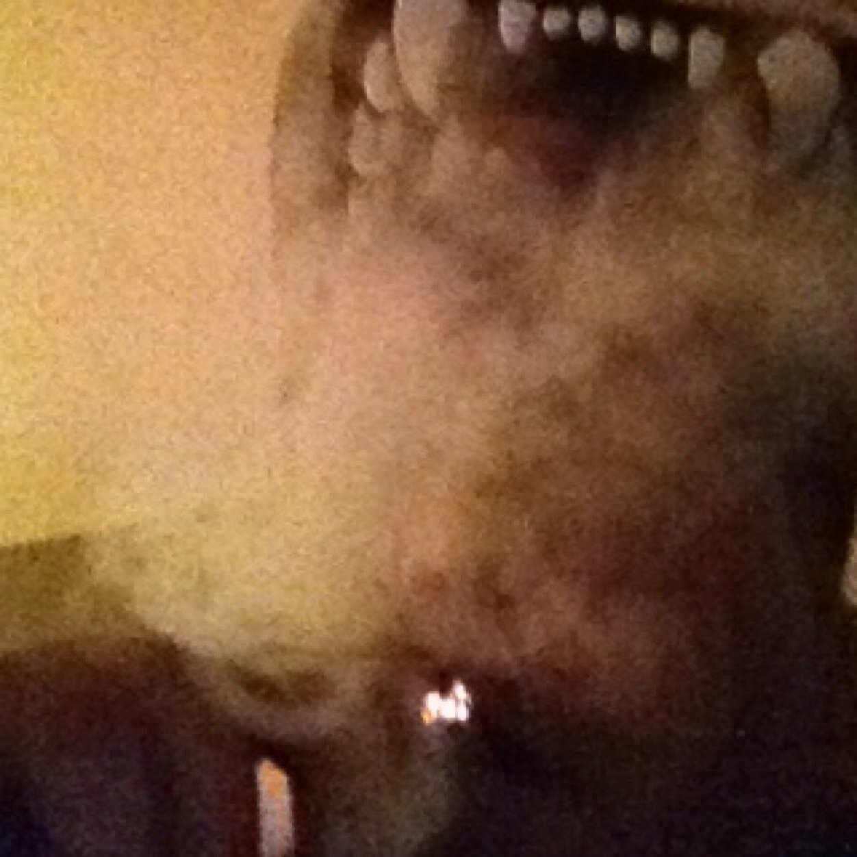 SmokinErrDay's profile picture. Just your average stoner.