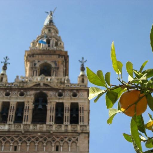Amante de Sevilla, su Semana Santa y su Feria. ¿Quién no ha soñado alguna vez con vivir aquí?