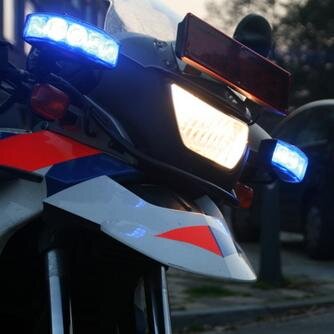 Haageneesch Profile Picture