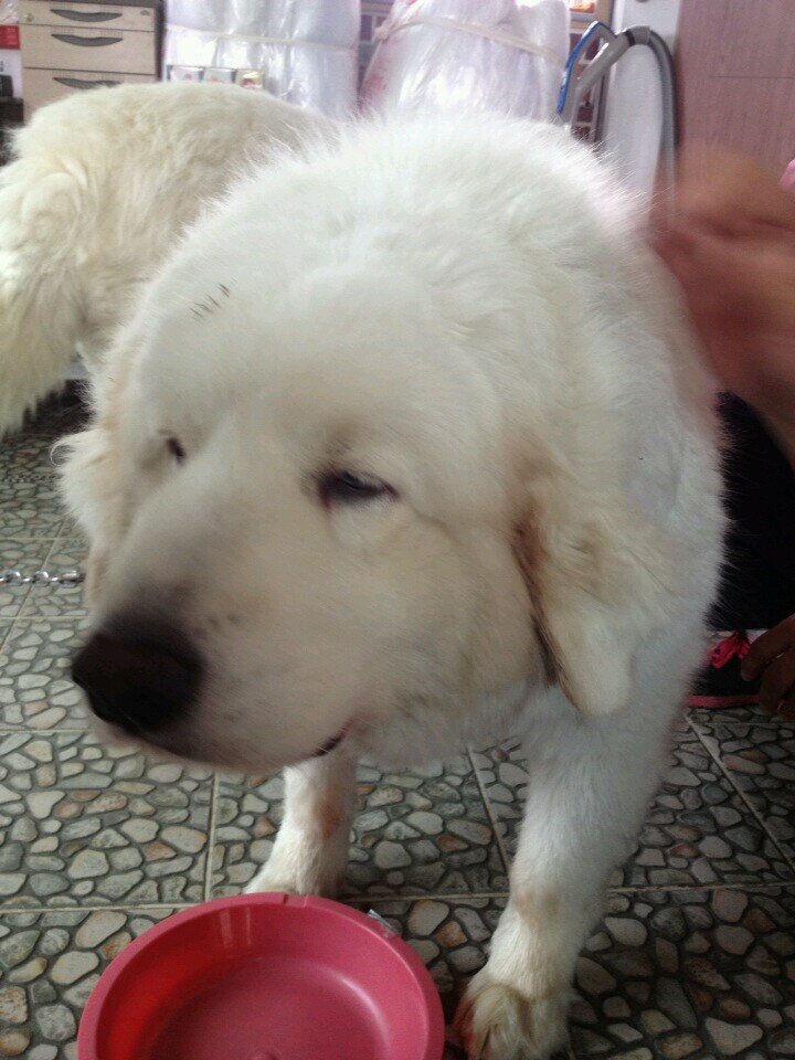 hwlees's profile picture. it, happy, accounting, air, love, society, communication