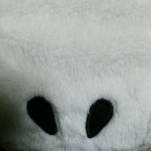 nesumoki's profile picture. 