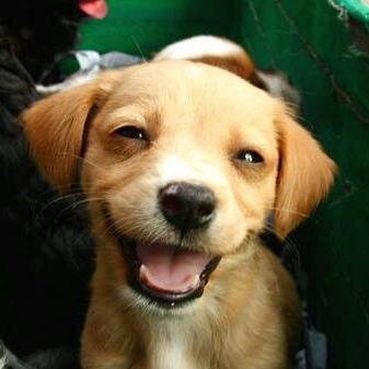 VstoneIy's profile picture. 🤓