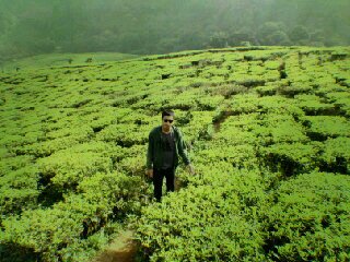 muzal_gunz's profile picture. *Mahasiswa UIN Jakarta||postar||#LoveNatural