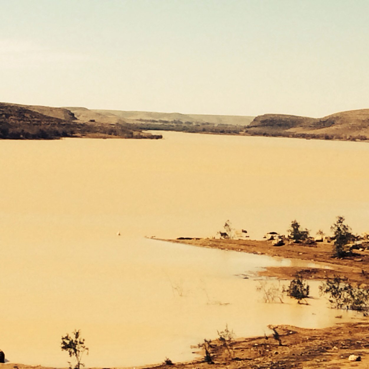 88ahAhmed's profile picture. 