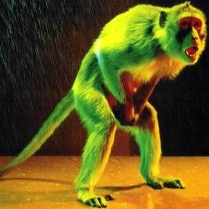 MK_BEER's profile picture. Architect, Artist, Rock Climber