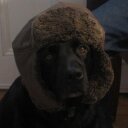 Beth Albright - @BethAlbright2 - Twitter