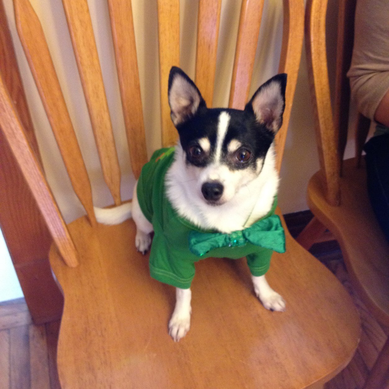 pennystockbro's profile picture. my tweets are a recommendation to buy! Let's all lose money together.