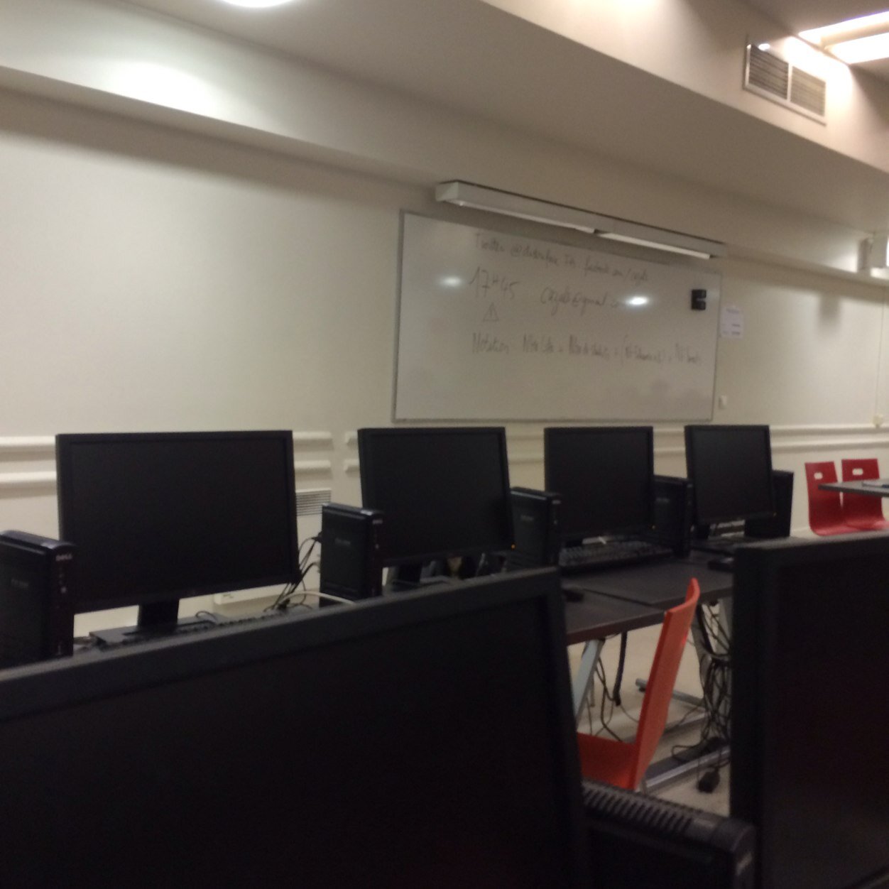 caracsdomomo's profile picture. 