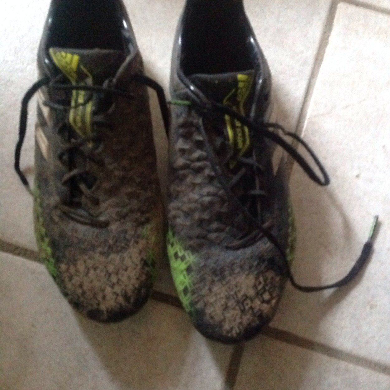 JensenMalt2028's profile picture. 