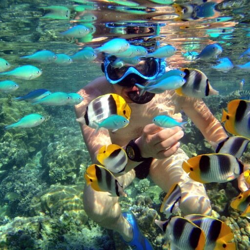 ThibaudFlury's profile picture. 