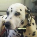 Sandra Zahn - @basinga74 - Twitter