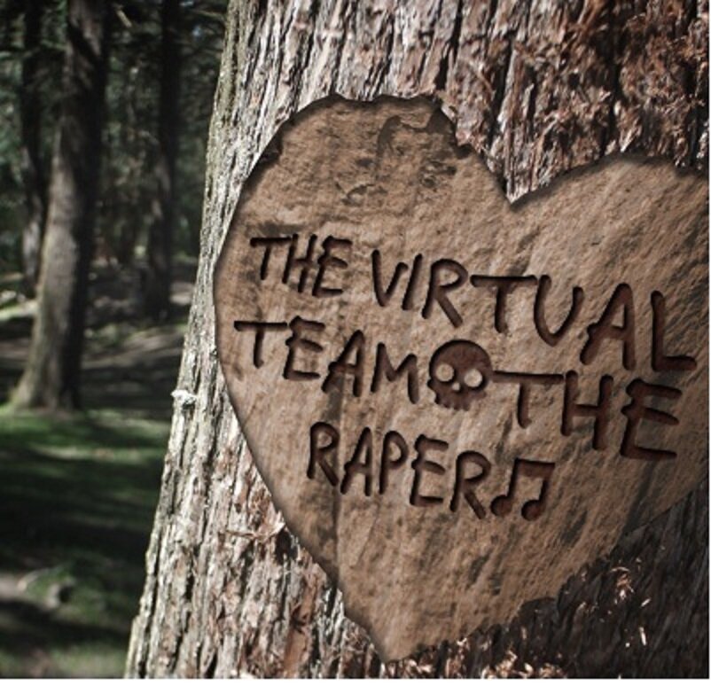 VirtualteamTeam's profile picture. 