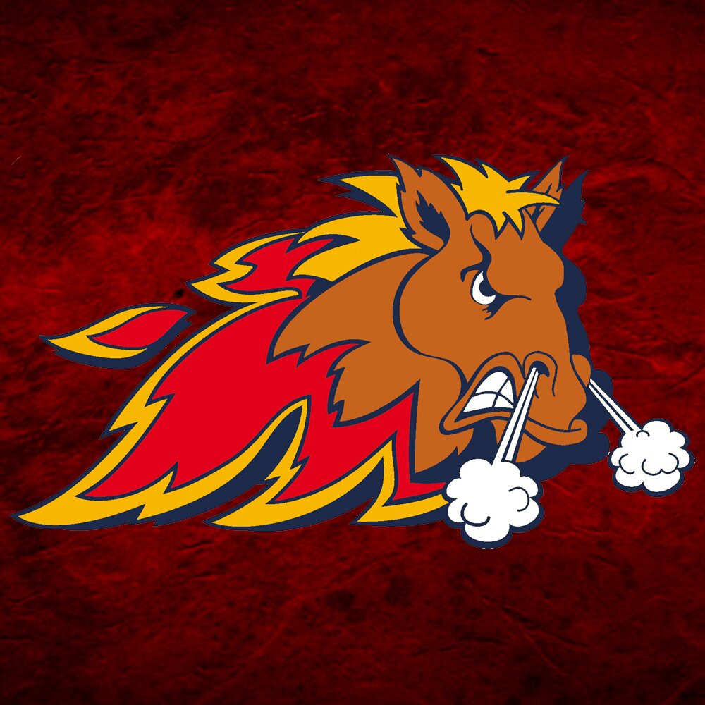 LesMustangsVD Profile Picture