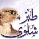 طير شلوى (@004840044) Twitter