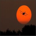 Ivy Browning - @browningkrivy - Twitter