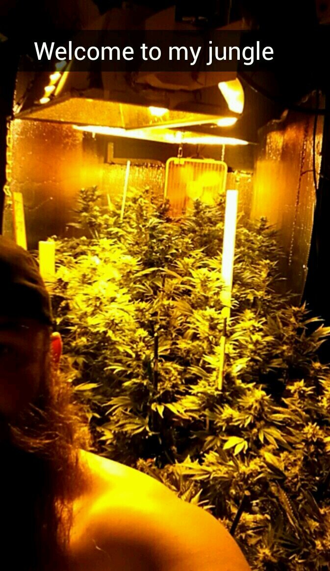 sourdiesel9420's profile picture. ColoradoNative,Aquarius,Carpenter,Entrepreneur,Deadhead, McEnforcer,Master legal Grower & The Best Uncle Ever