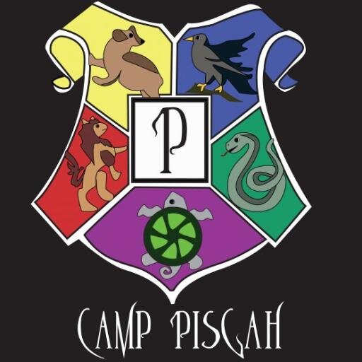 Camp_Pisgah's profile picture. Camp Pisgah is an all girls camp in the beautiful Pisgah Forest of Western North Carolina.
