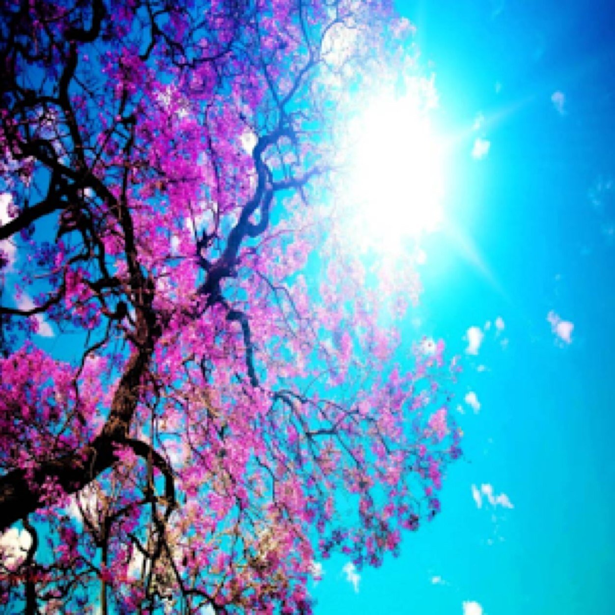 CyprusFeelGoods's profile picture. This account is made to post quotes that will raise up and motivate Cyprus High School students. Hang in there everybody!