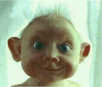 you follow us we follow back