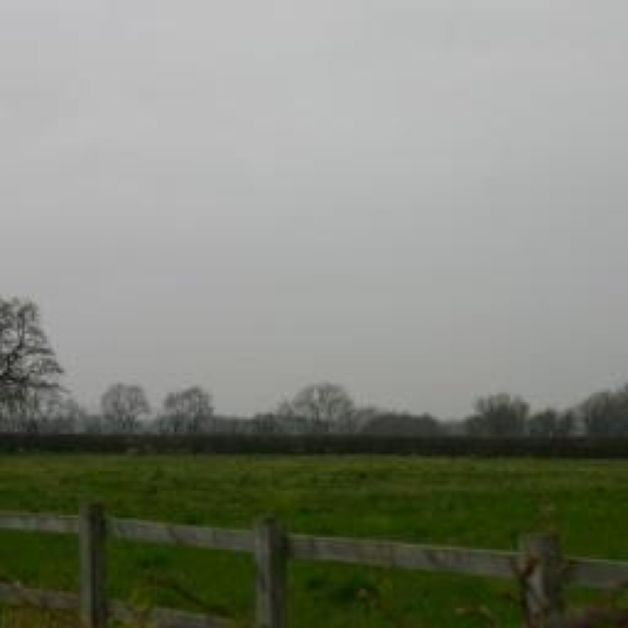 Please get in touch if you feel you were wrongly sold land in Collingham Notts in the last 10 years? Plot owner since 2004