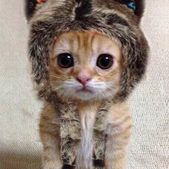 antofa_libre's profile picture. Profesional soltera e interesada en el bienestar de la ciudad de #Antofagasta NO CREO EN LOS POLITICOS CREO EN LAS ACCIONES