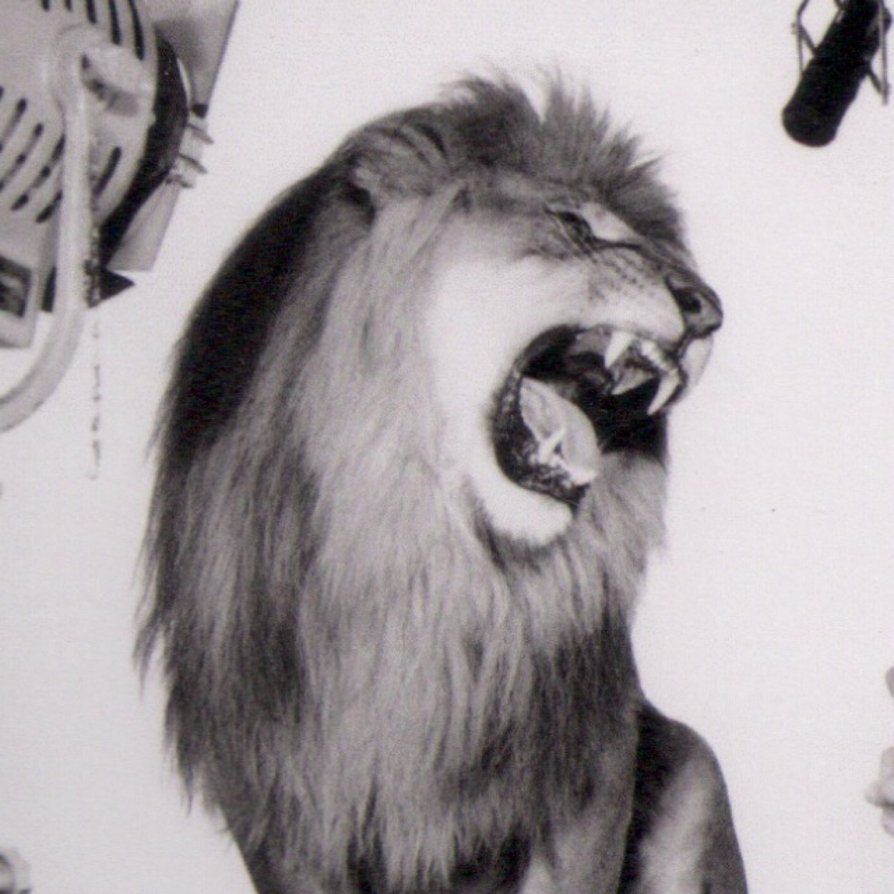 youstaythere02's profile picture. 