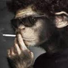HomoSapiens Erectus Agudus Exoticus