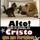 diego armando rueda - @diegoarmandoru5 - Twitter