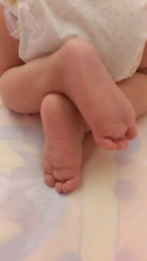 Rodigoto's profile picture. 