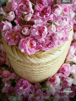 mjooodi1413's profile picture. 