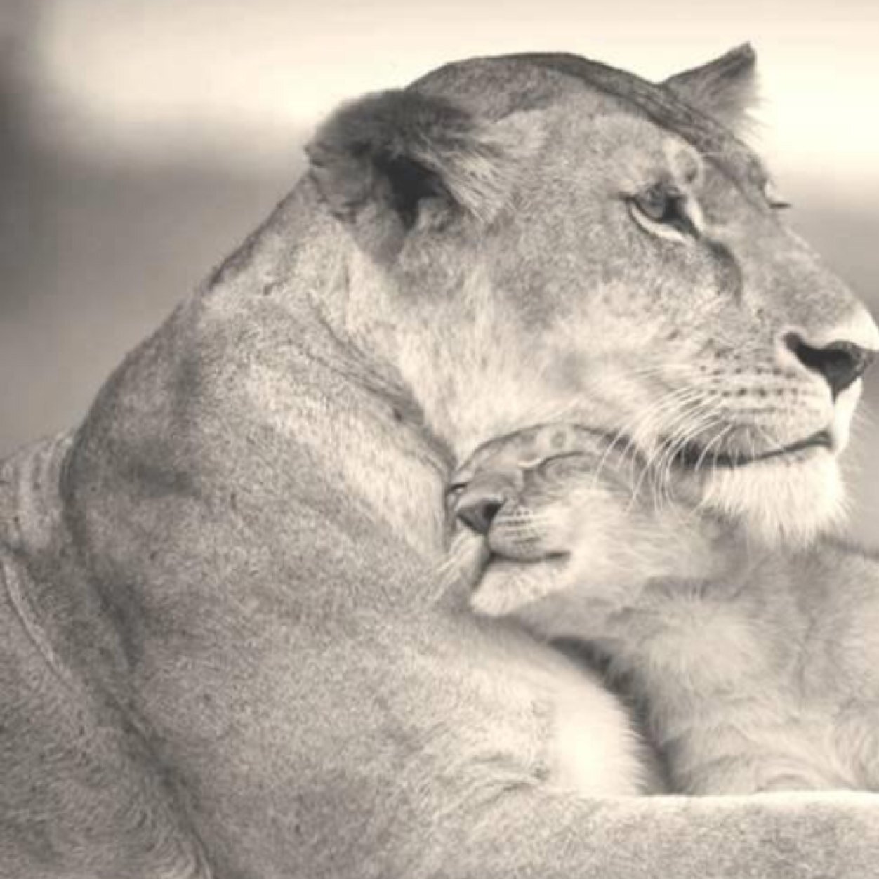 egittoanto's profile picture. farmacista, amo il mio lavoro e i miei cani