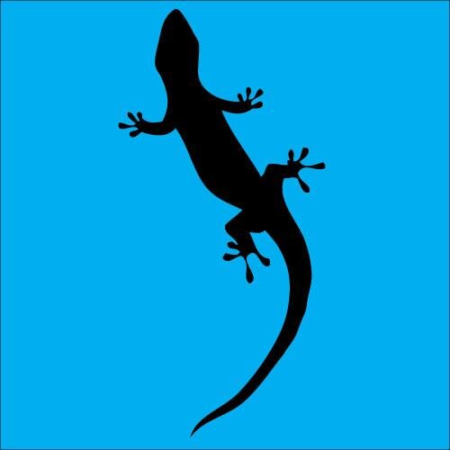 LizardMedia's profile picture. Be back again