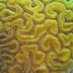 Blood brain barrier (@bbbpapers) Twitter profile photo Blood brain barrier (@bbbpapers) Twitter profile photo