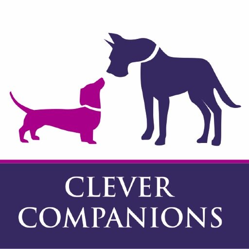 CleverIreland's profile picture. Professional Dog Walking & Training