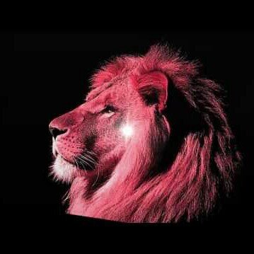 photophobia_'s profile picture. life is precious, so i became a predator.