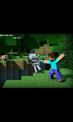 Hola, muy buenas a todos chicos, soy Lostruyer en un video de Minecraft!!