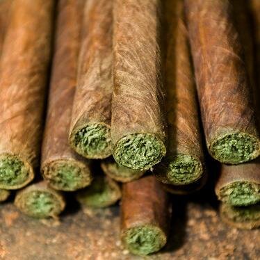 Cannabis news for the Connoisseur