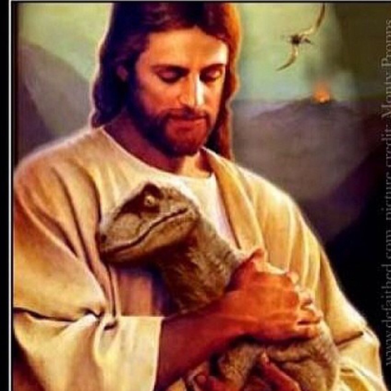 treeoflife420's profile picture. 