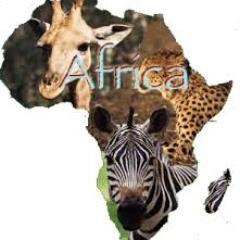 Aids_In_Africa's profile picture. This issue is serious and needs attention.
