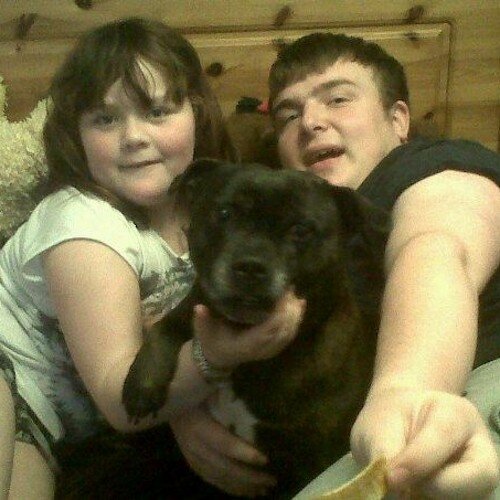 martin93rhys's profile picture. 