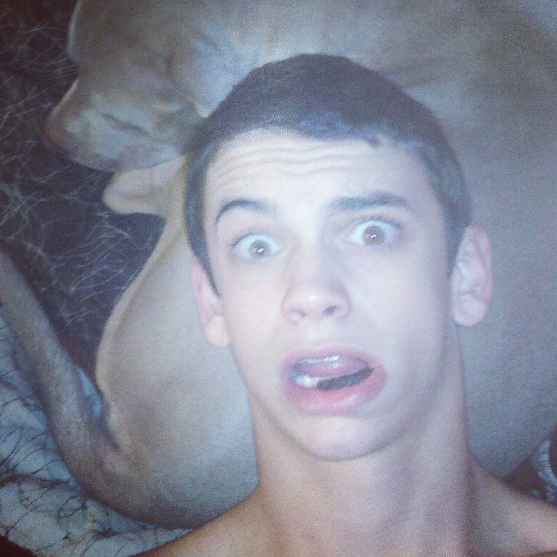 catfish