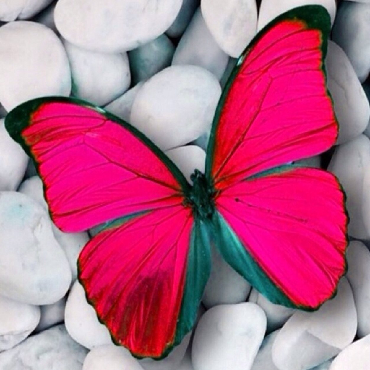 MkLubna's profile picture. 