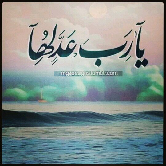لا اله الا الله محمد رسول الله