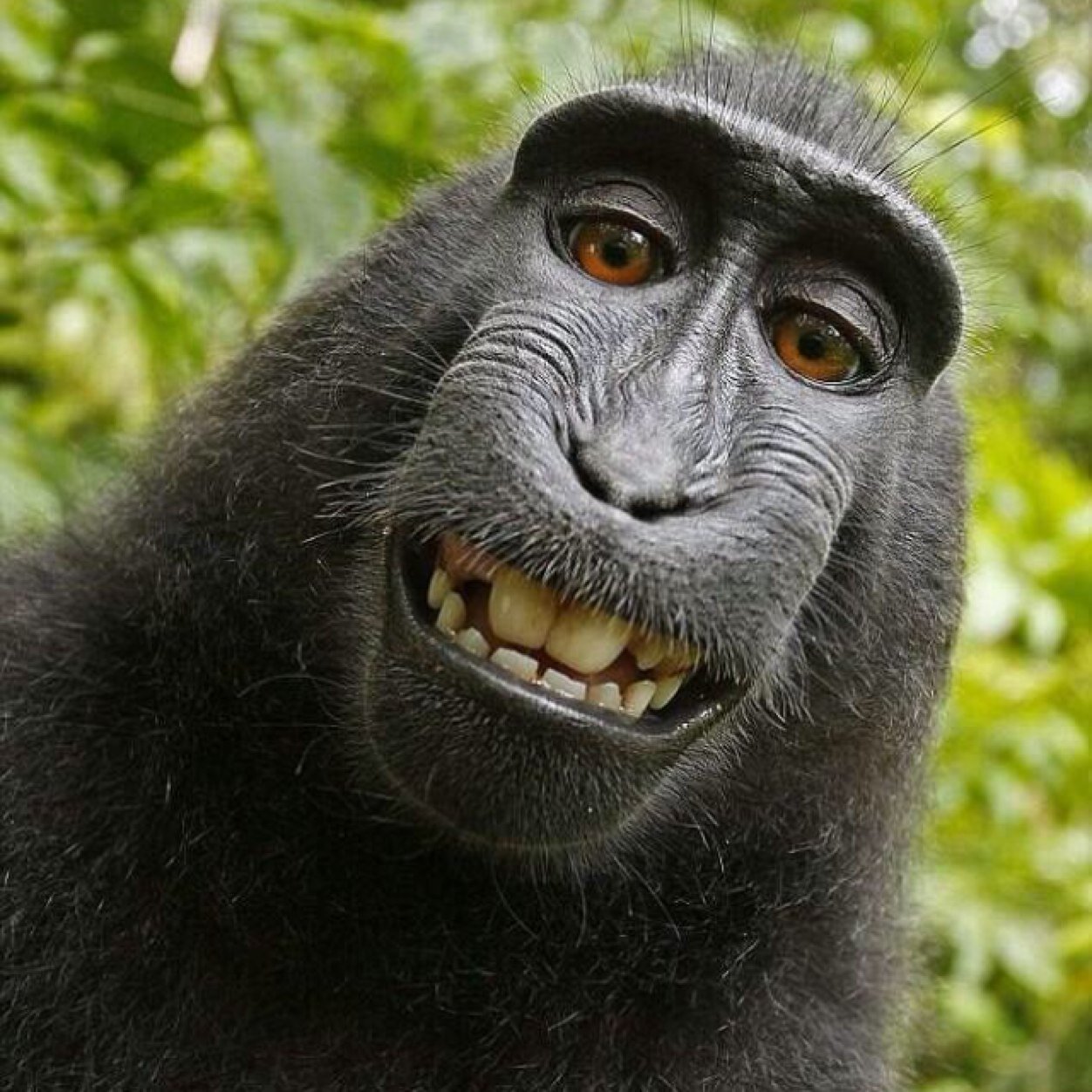 pmccall_1's profile picture. 