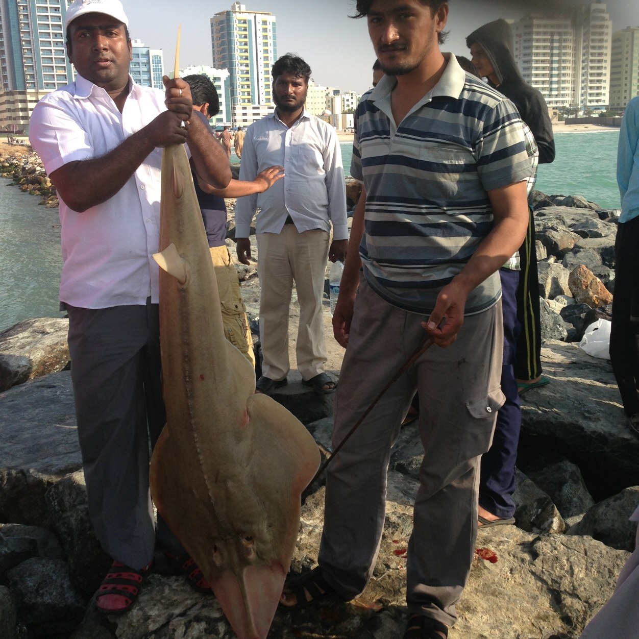 powerflow2009's profile picture. 